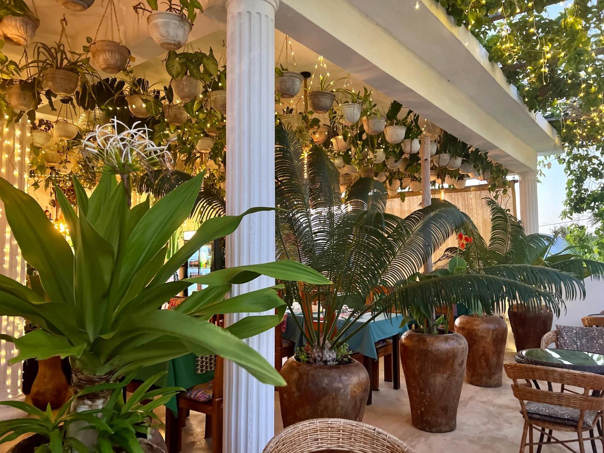 Gadea Boutique Hotel& Gadea Garden Italian Restaurant (Adults Only) Jambiani  Eksteriør bilde