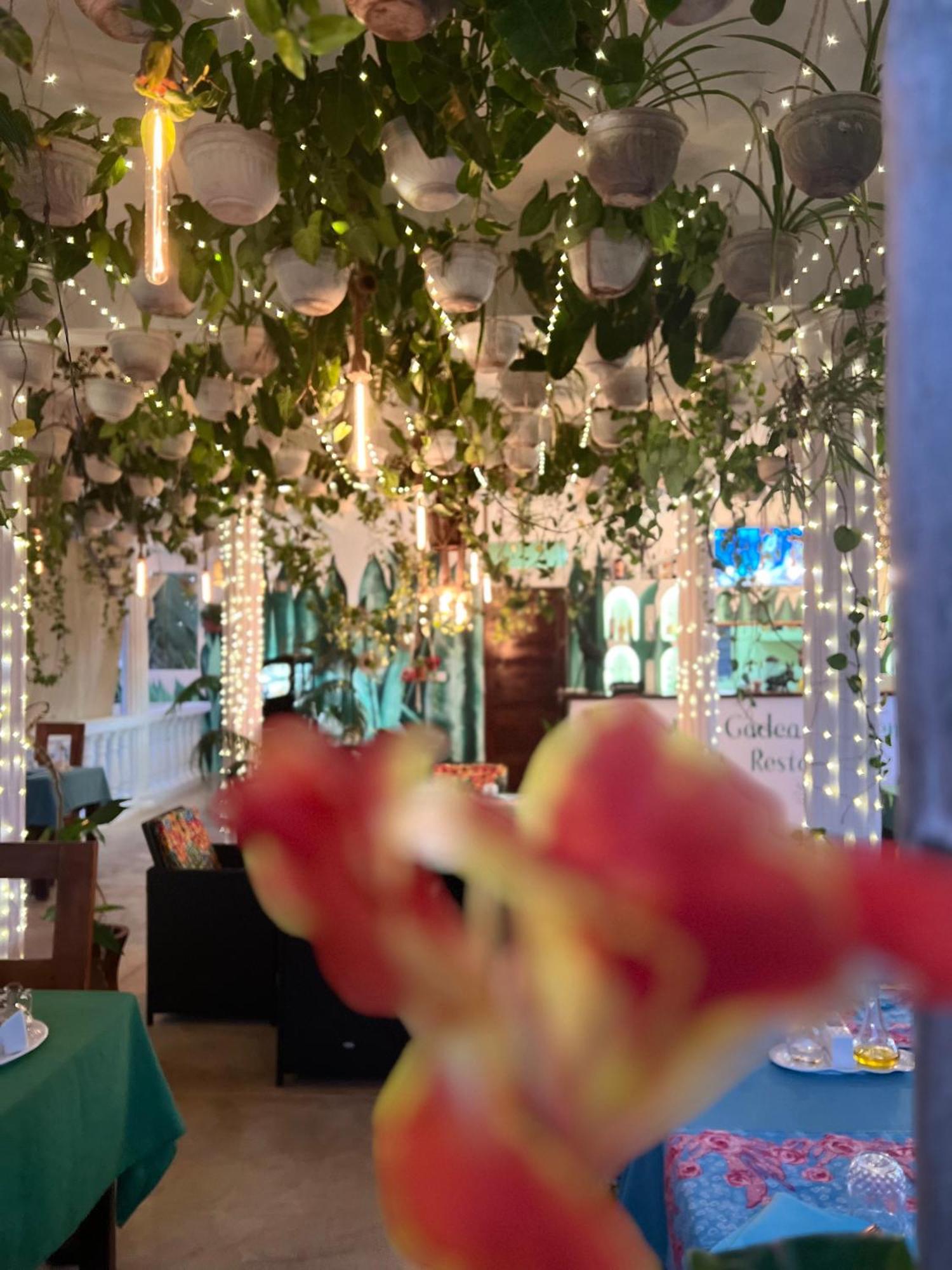 Gadea Boutique Hotel& Gadea Garden Italian Restaurant (Adults Only) Jambiani  Eksteriør bilde
